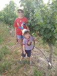 Adega Estate Winery